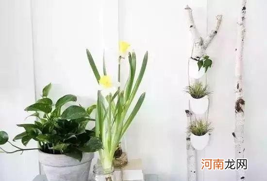 塑料瓶饮料瓶改造大全 废弃瓶子创意手工步骤