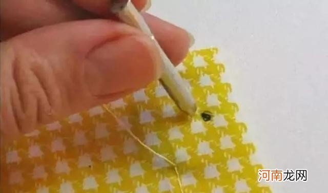 塑料瓶饮料瓶改造大全 废弃瓶子创意手工步骤