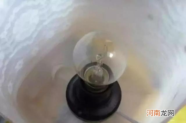 塑料瓶饮料瓶改造大全 废弃瓶子创意手工步骤