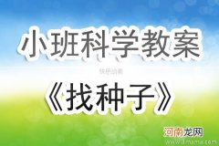 小班科学活动糖怎么不见了教案反思