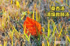 养阴清肺汤组成 养阴清肺汤的功效与作用