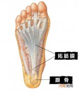 脚后跟麻是什么前兆