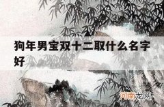 狗年男宝双十二取什么名字好_双十一出生男孩起什么名字好呢