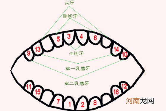 宝宝长一颗牙迷信说法 第一个就吓倒我了