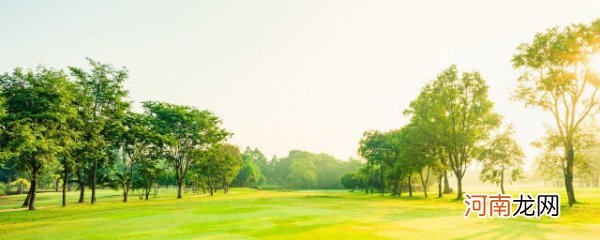 节能环保低碳生活内容 关于节能环保低碳生活内容