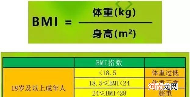 饮食与健康的关系 饮食与健康的关系是什么