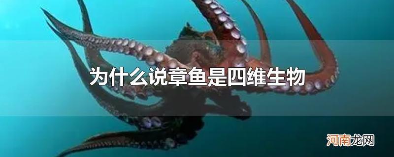 为什么说章鱼是四维生物