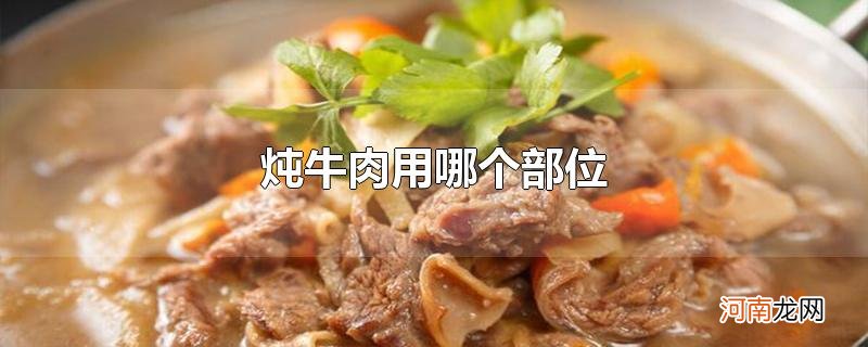 炖牛肉用哪个部位