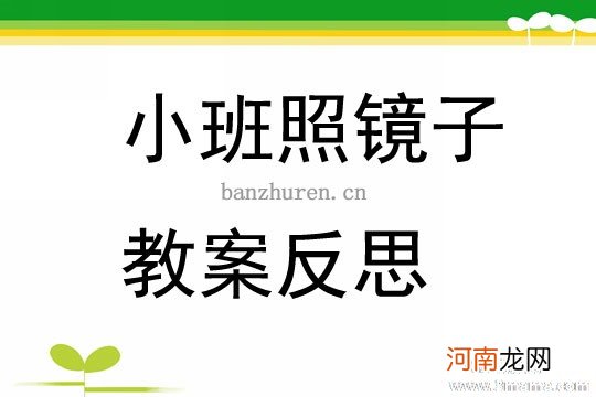 小班社会活动照镜子教案反思