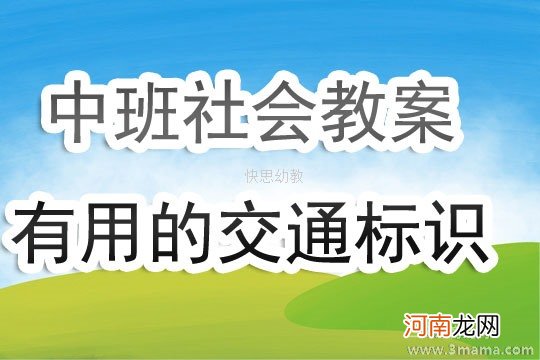 中班社会小小标志大用处教案反思