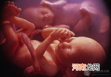 孕期应掌握胎儿发育时间表