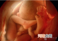 胎儿发育过程中的4个超能力