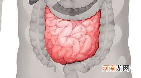 克罗恩病饮食注意什么