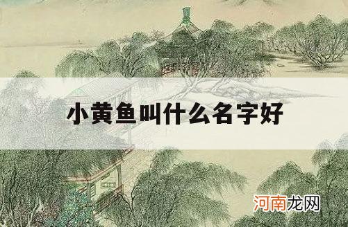 小黄鱼叫什么名字好_小黄鱼又名叫什么