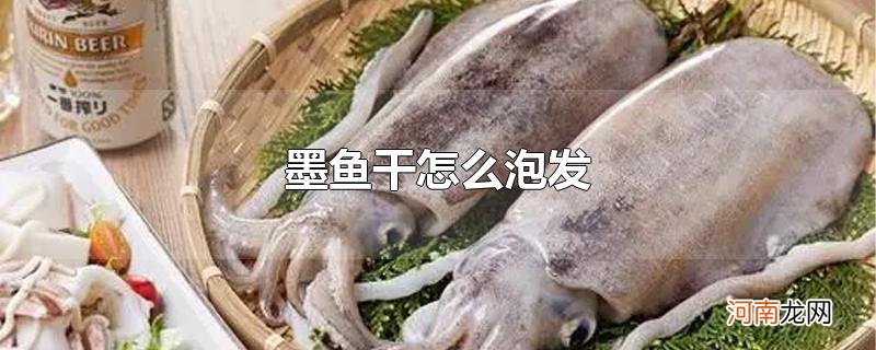 墨鱼干怎么泡发