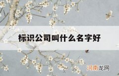 标识公司叫什么名字好_标识公司名称大全集最新