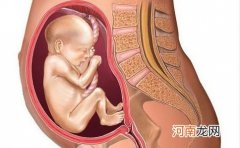 28周胎儿发育标准数据几斤