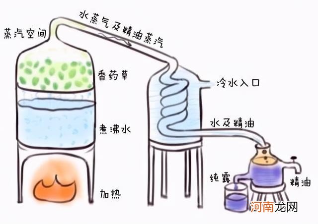 精油涂脸的正确方法是什么 精油的正确使用方法