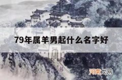 79年属羊男起什么名字好_79年属羊的起什么名字最好