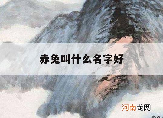 赤兔叫什么名字好_赤兔马为什么叫赤兔