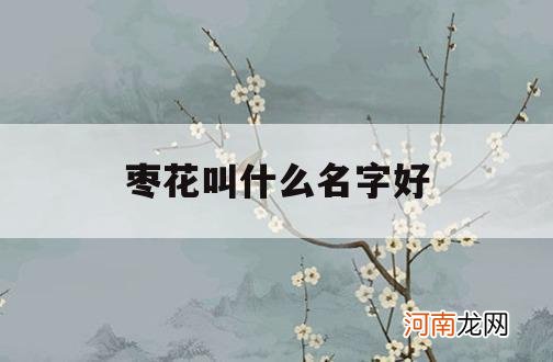 枣花叫什么名字好_枣树花是什么样的