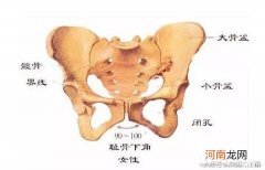 孕晚期耻骨疼是快生了