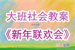 大班社会活动新年联欢会教案反思