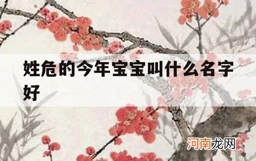 姓危的今年宝宝叫什么名字好_有姓危的嘛