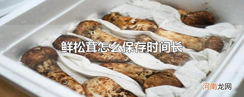 鲜松茸怎么保存时间长