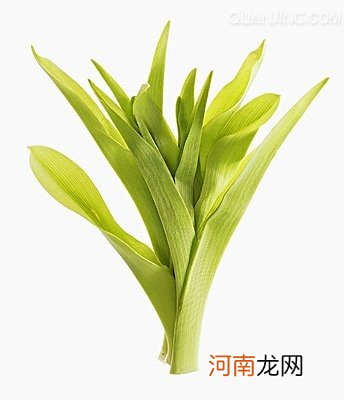 产后快速催乳需吃5种蔬菜