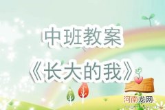 小班社会活动教案：我长大了教案