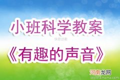 小班科学活动电风扇教案反思