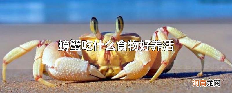 螃蟹吃什么食物好养活