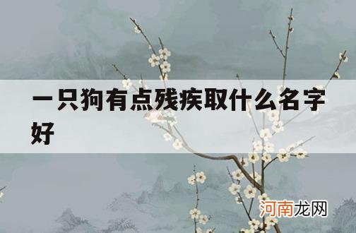 一只狗有点残疾取什么名字好_取一个狗的名字