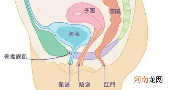 膀胱活动过度症怎么治