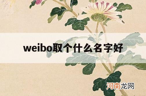 weibo取个什么名字好_微博应该取什么名字