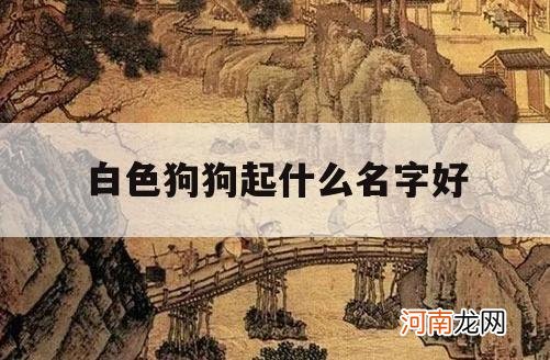 白色狗狗起什么名字好_白色狗起什么名字好听