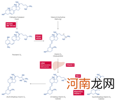 ug等于多少国际单位