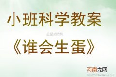 小班智力游戏活动谁会生蛋教案反思