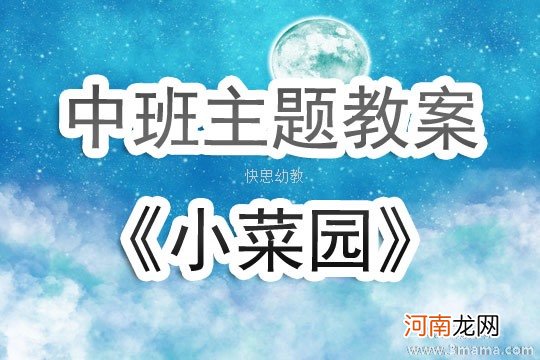 大班主题活动酸甜苦辣教案反思