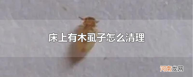 床上有木虱子怎么清理