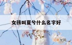 女孩叫夏兮什么名字好_姓夏的女孩叫什么名字比较好