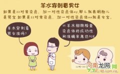 羊水穿刺能查出男女吗