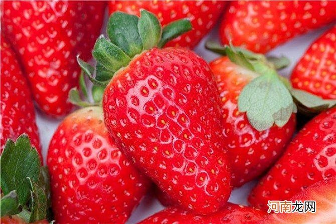 糖高能吃草莓吗