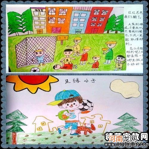 附教学反思 中班科学活动教案：蔬菜一家子教案