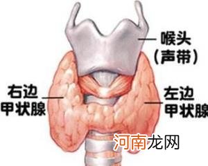 一招去除喉咙里的痰