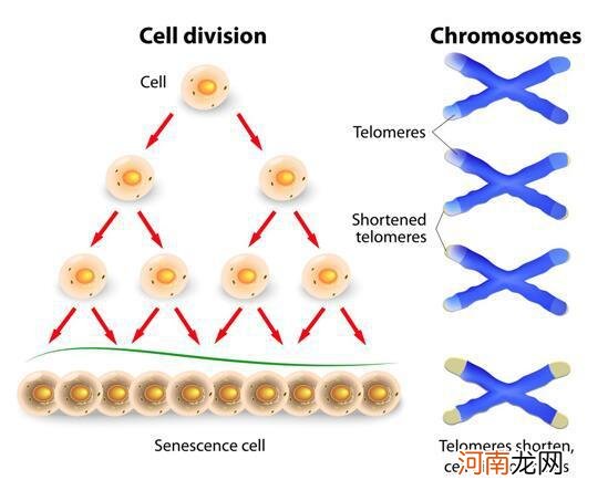 车要保养人要保养句子