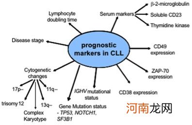 干细胞移植后恢复期