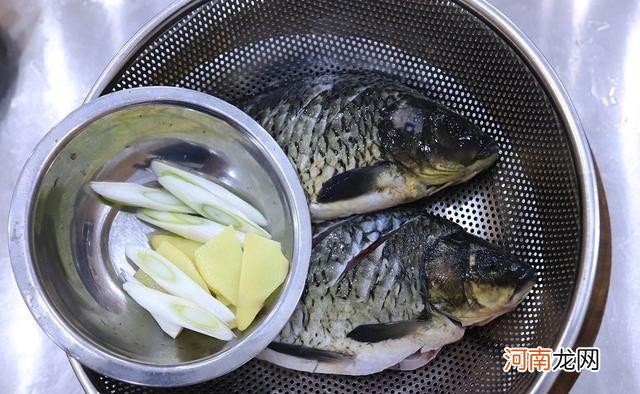 5道鱼的家常做法分享 怎么做鱼好吃又简单