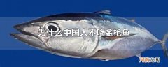 为什么中国人不吃金枪鱼